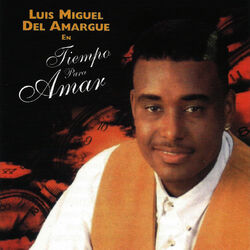 Cover of Tiempo para Amar