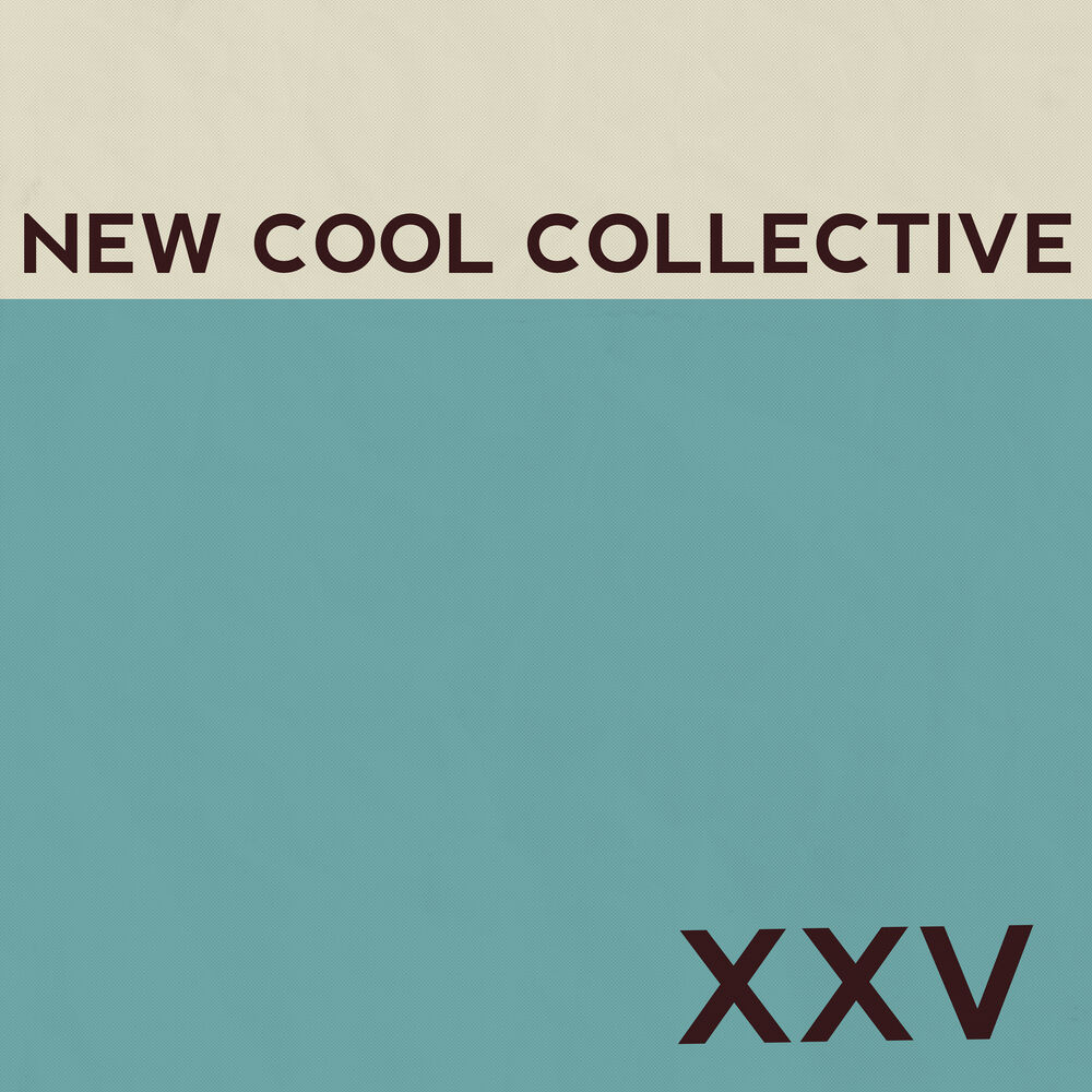 Picture of XXV