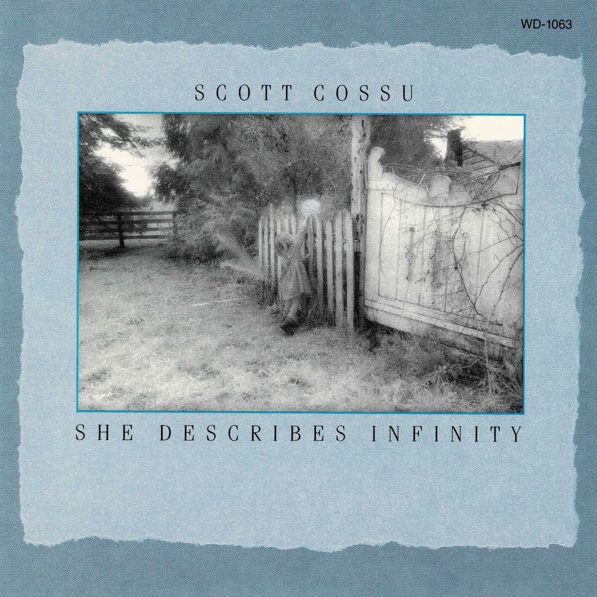 Album cover of She Describes Infinity