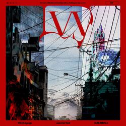 Cover of IVY