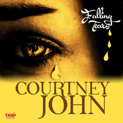 Cover of Falling Tears