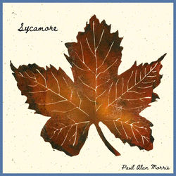 Capa de Sycamore