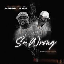 Cover of So Wrong