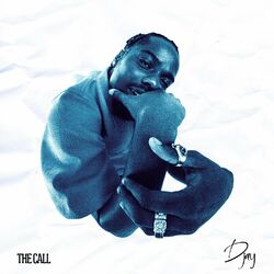 Cover of The Call