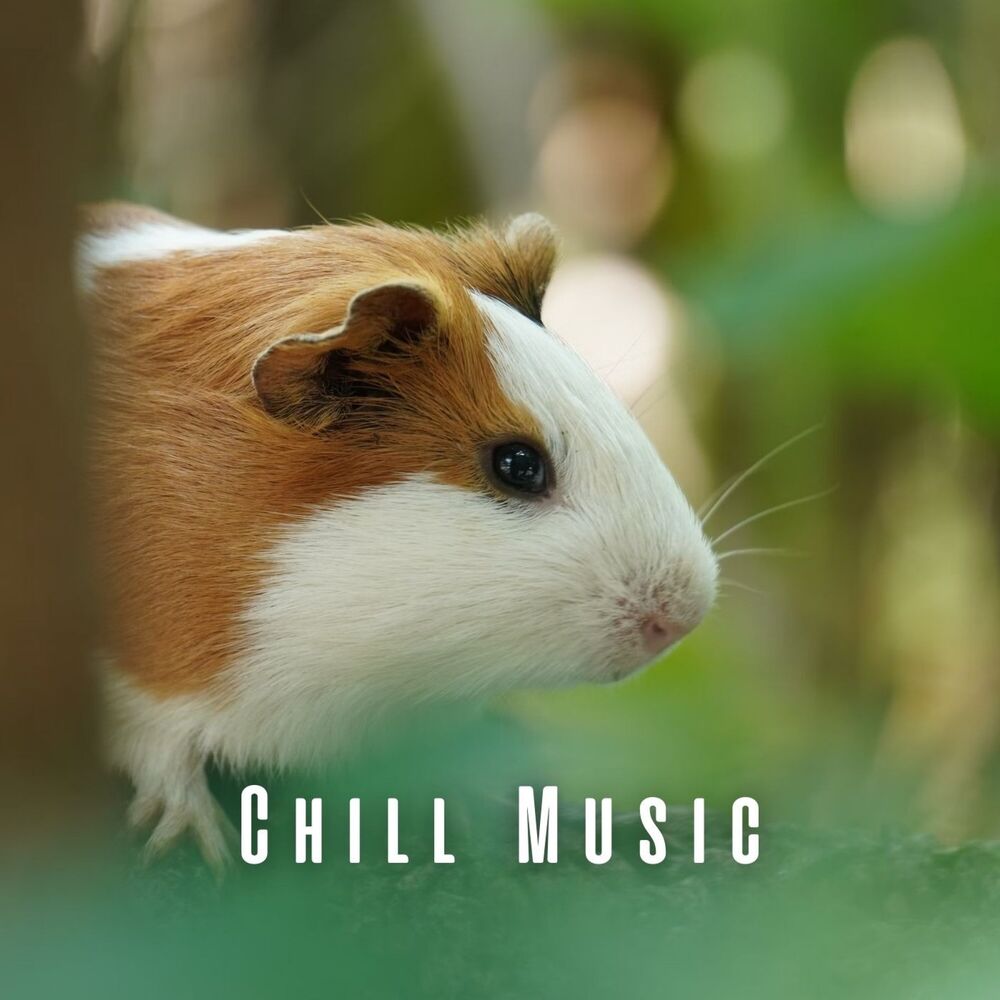 Picture of Chill Music: Pets' Soothing Sanctuary