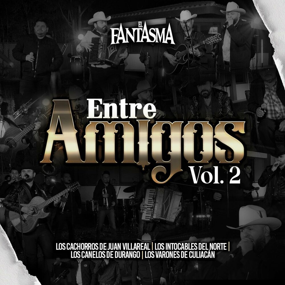 Picture of Entre Amigos, Vol.2
