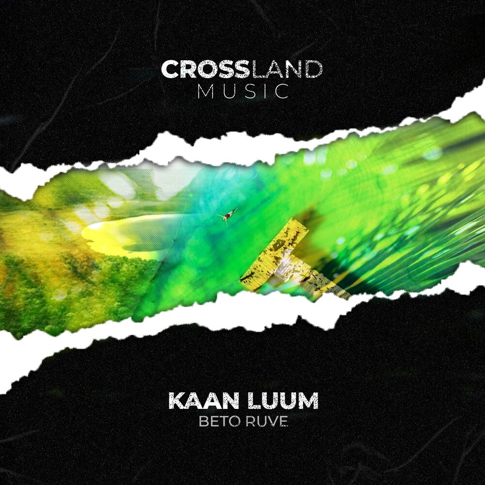 Picture of Kaan Luum