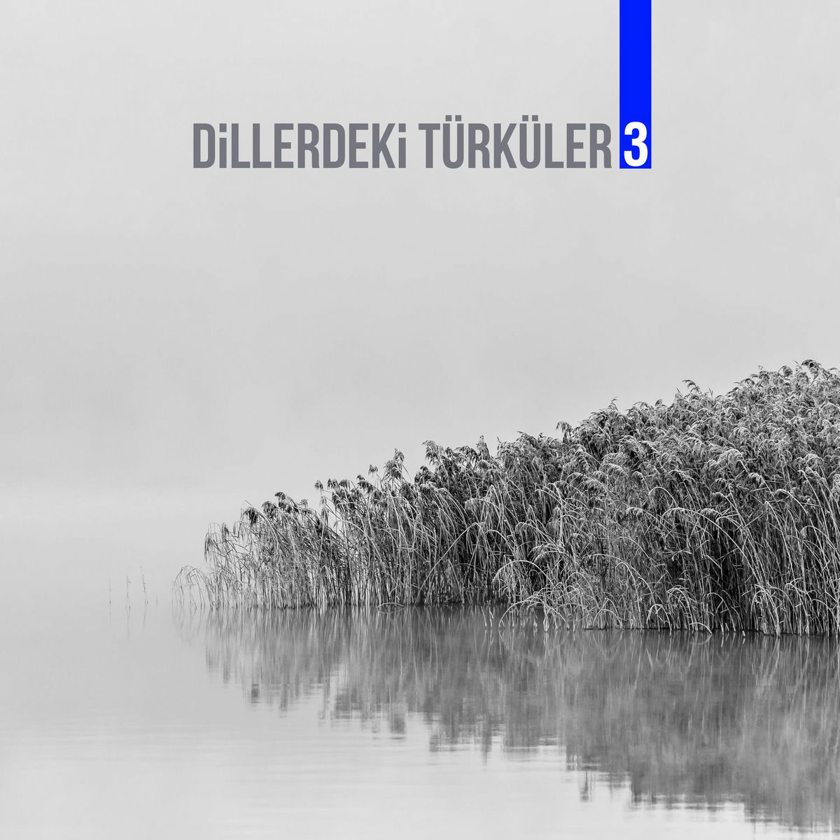 Album cover of Dillerdeki Türküler 3