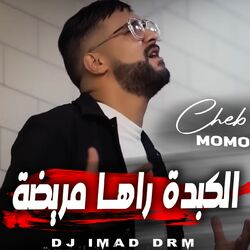 Cover of الكبدة راها مريضة