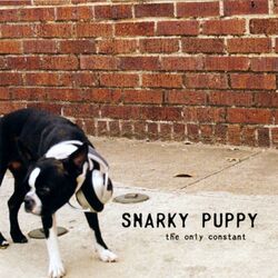 Cover of The Only Constant