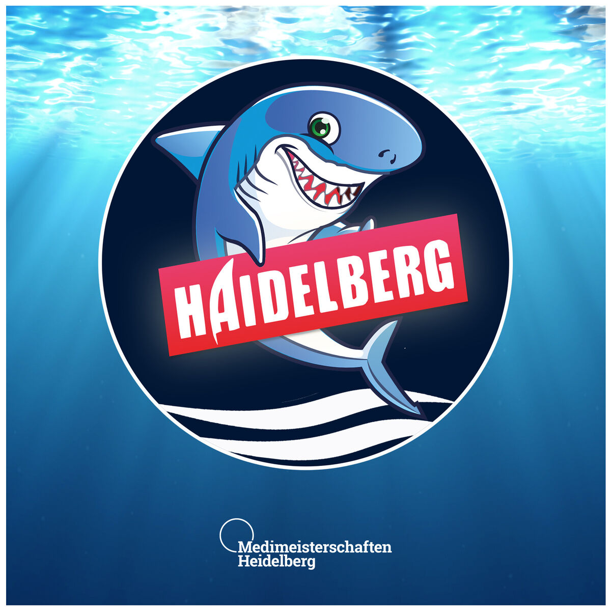 Album cover of Haidelberg