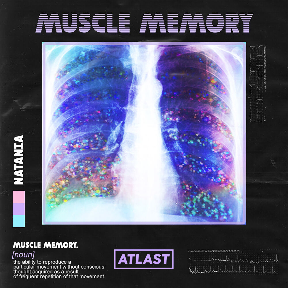 Picture of Muscle Memory