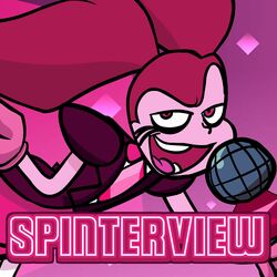 Cover of Spinterview