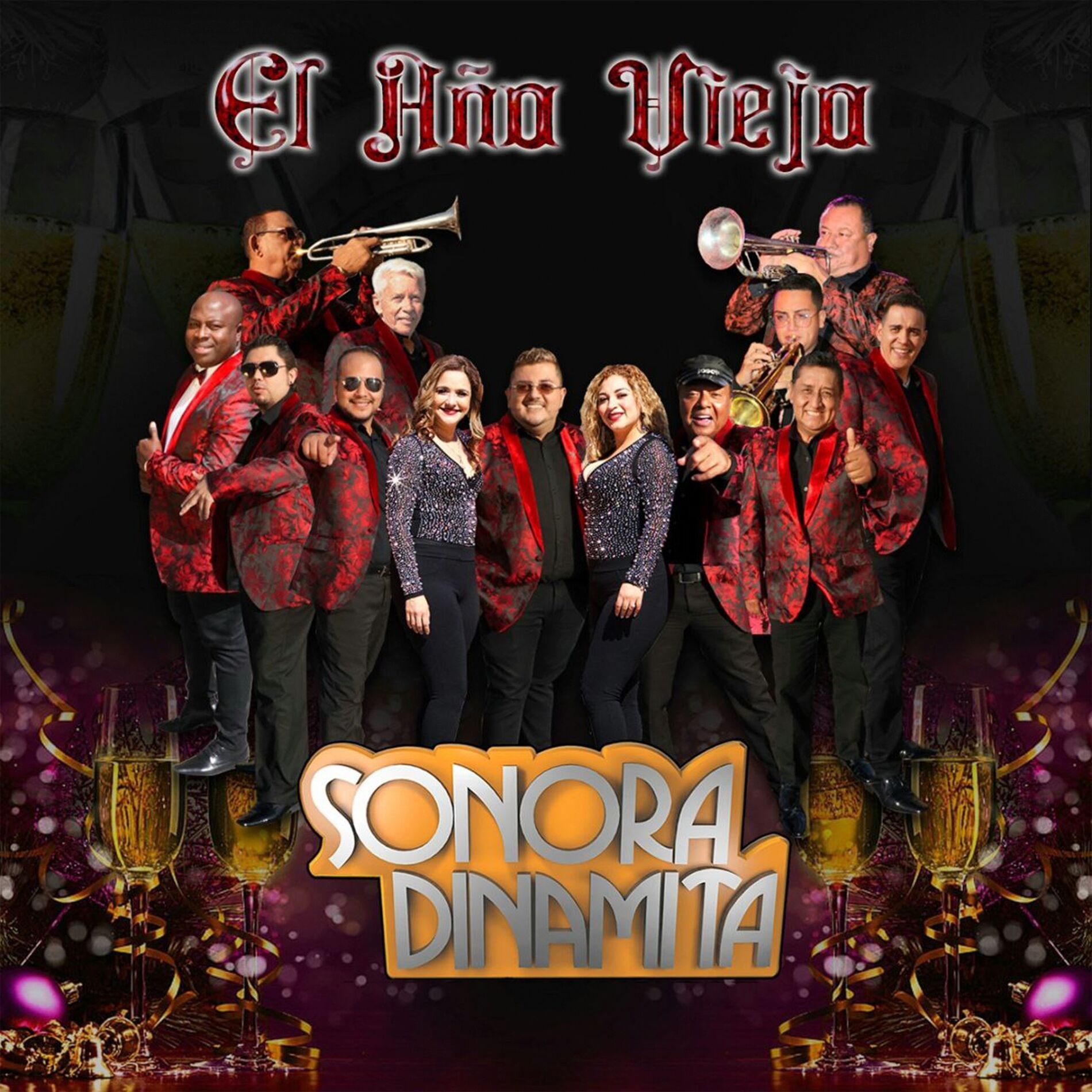 Album cover of El Año Viejo