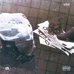 Cover of Vide