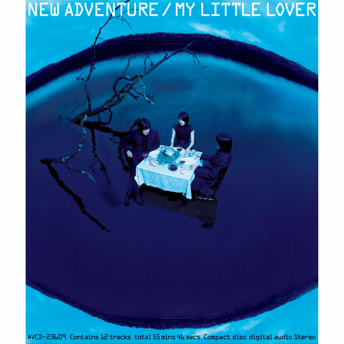 Album cover of NEW ADVENTURE