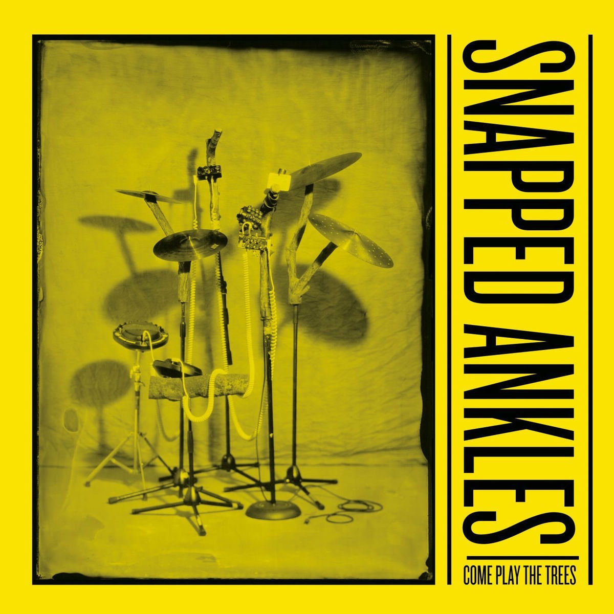Album cover of Come Play the Trees