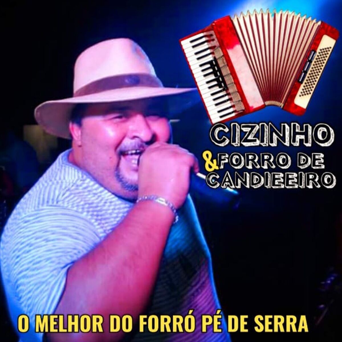 Album cover of O Melhor do Forró Pé de Serra