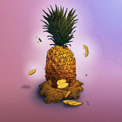 music cover