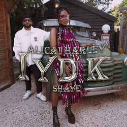 Cover of I.Y.D.K