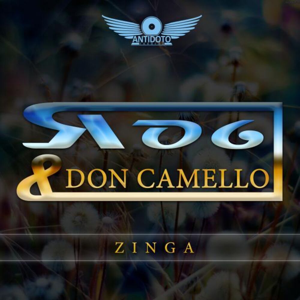 Picture of Zinga