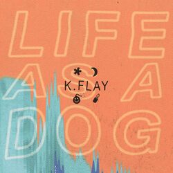 Cover of Life as a Dog