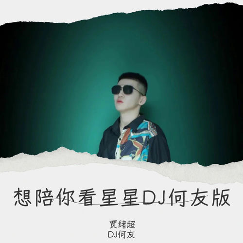 想陪你看星星 (DJ何友版)