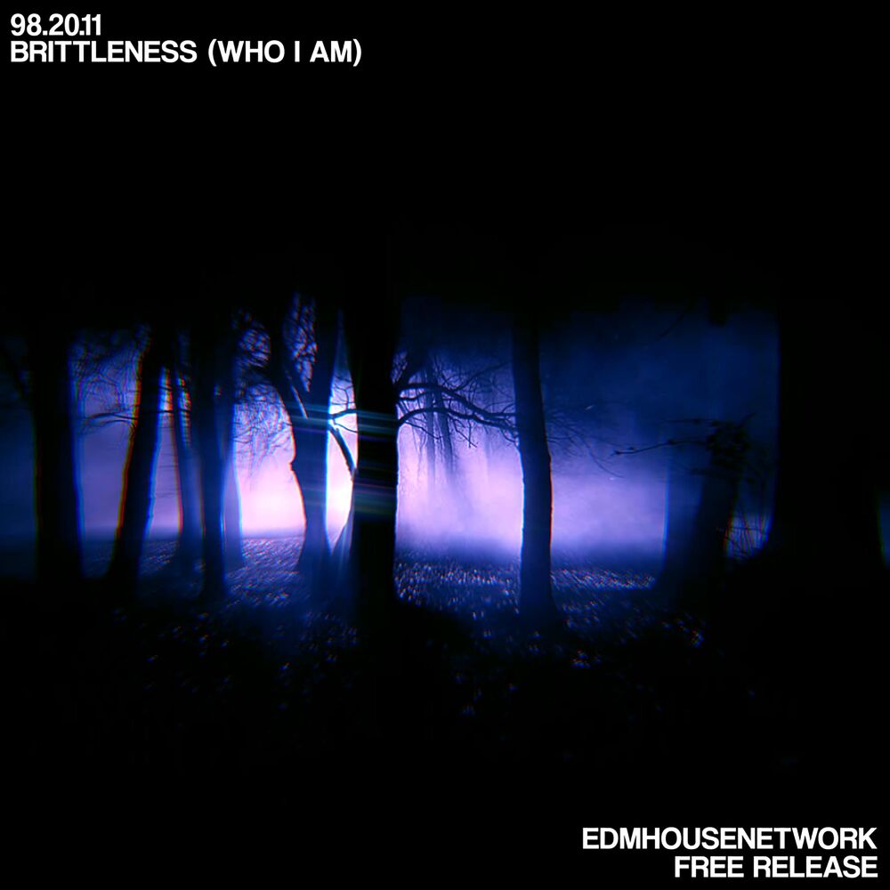 Picture of Brittleness