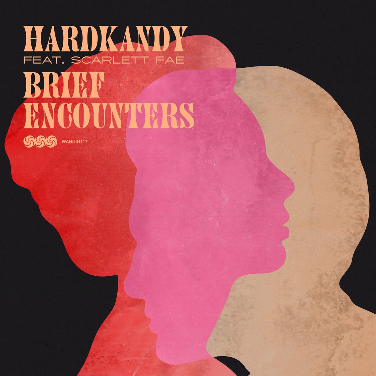 Album cover of Brief Encounters