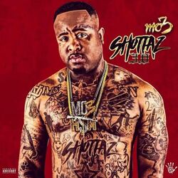 Cover of Shottaz 3.0