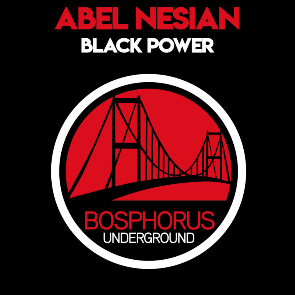 Picture of Black Power