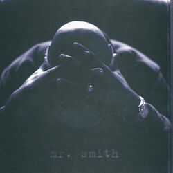Cover of Mr. Smith
