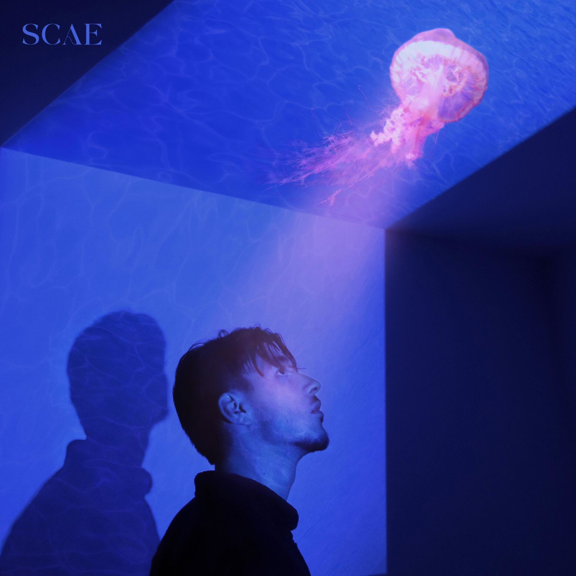 Album cover of Méduse