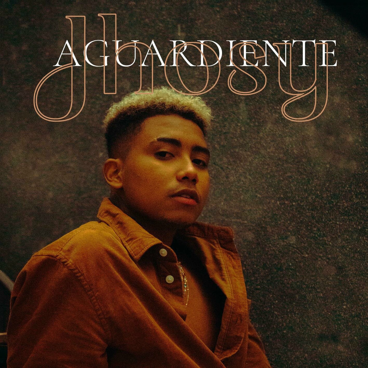 Album cover of Aguardiente