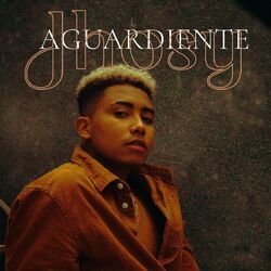 Cover of Aguardiente