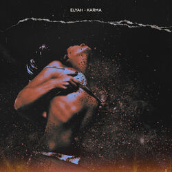 Cover of Karma