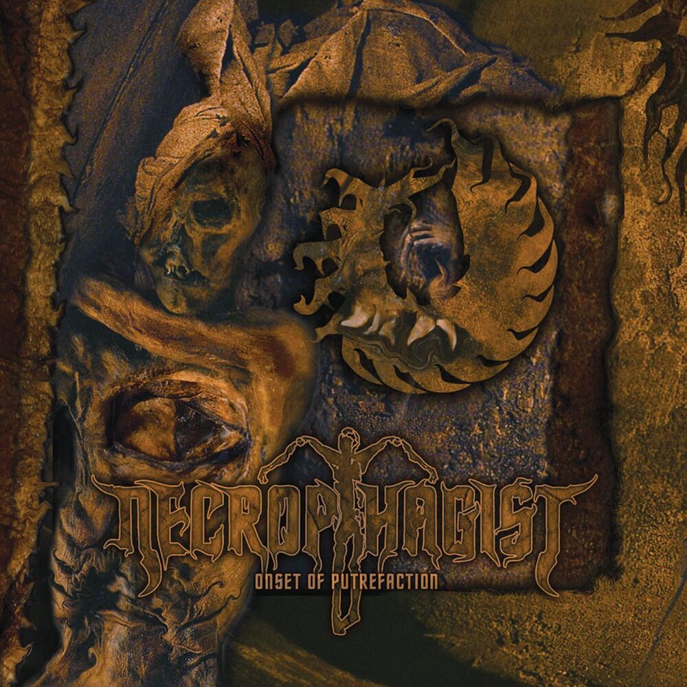 Picture of Onset Of Putrefaction