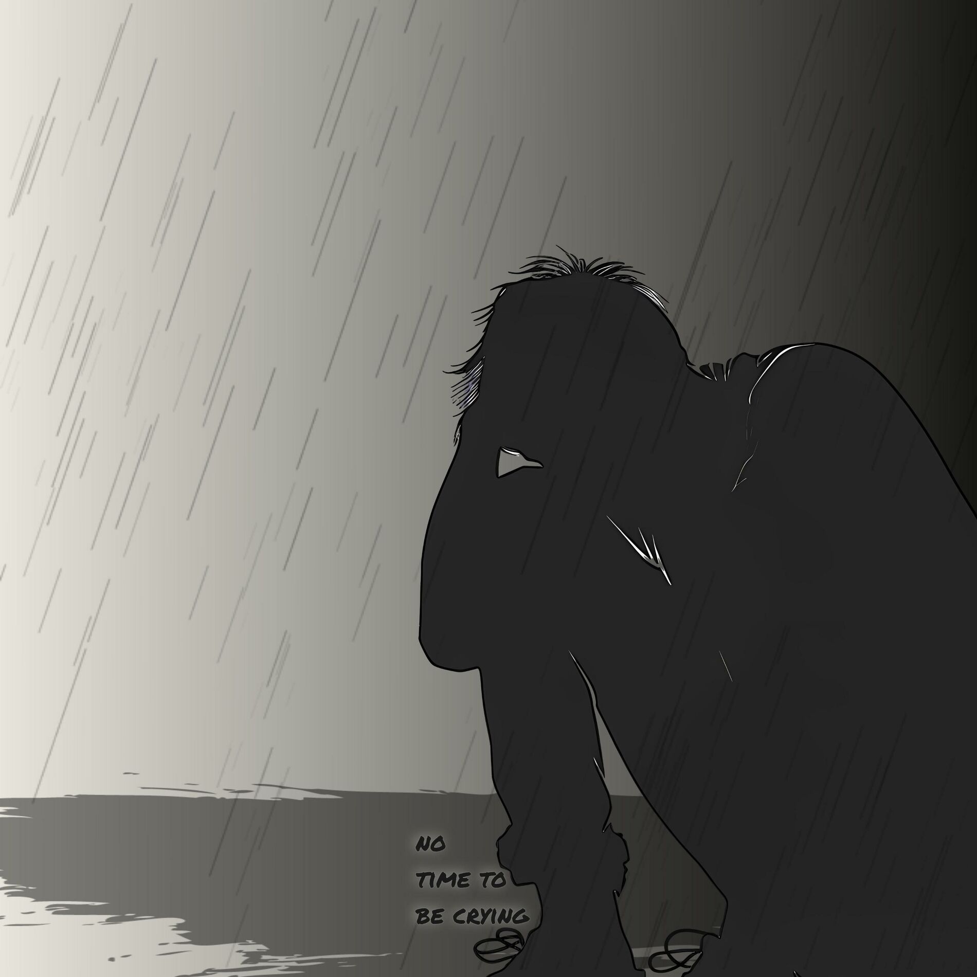 Album cover of no time to be crying
