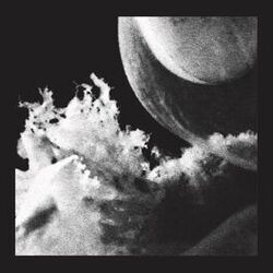 Cover of Embryo