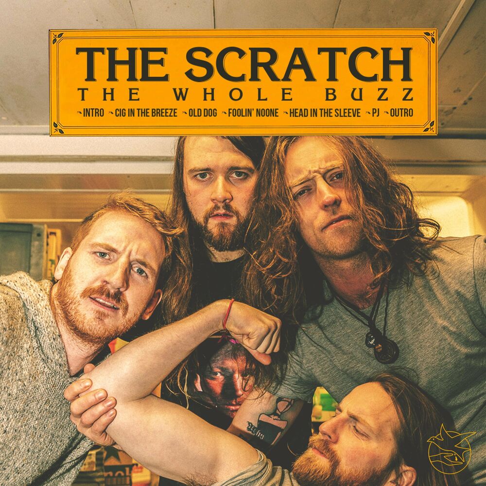 Picture of The Whole Buzz