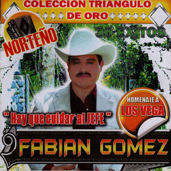 Cover of Norteno Homenaje a los Vega