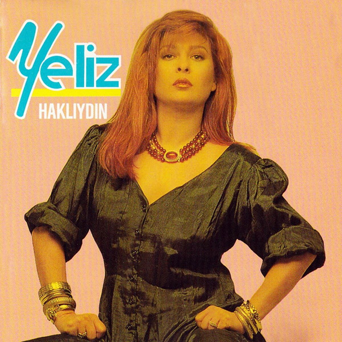 Album cover of Haklıydın
