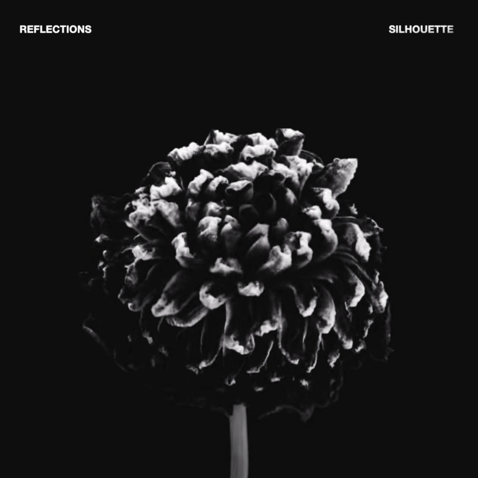 Album cover of Silhouette