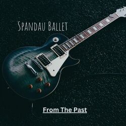 Cover of From The Past