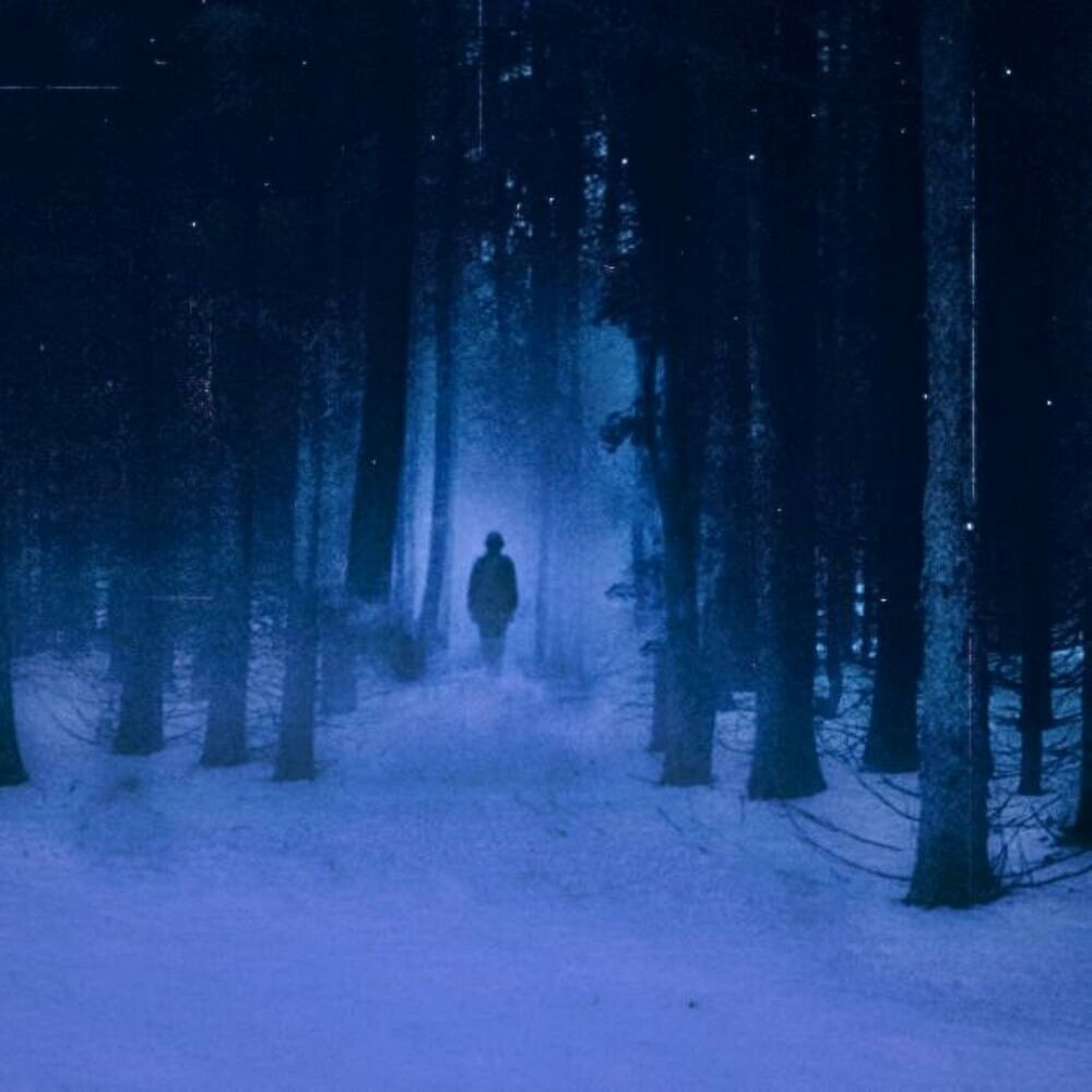 Picture of The long path vol.1