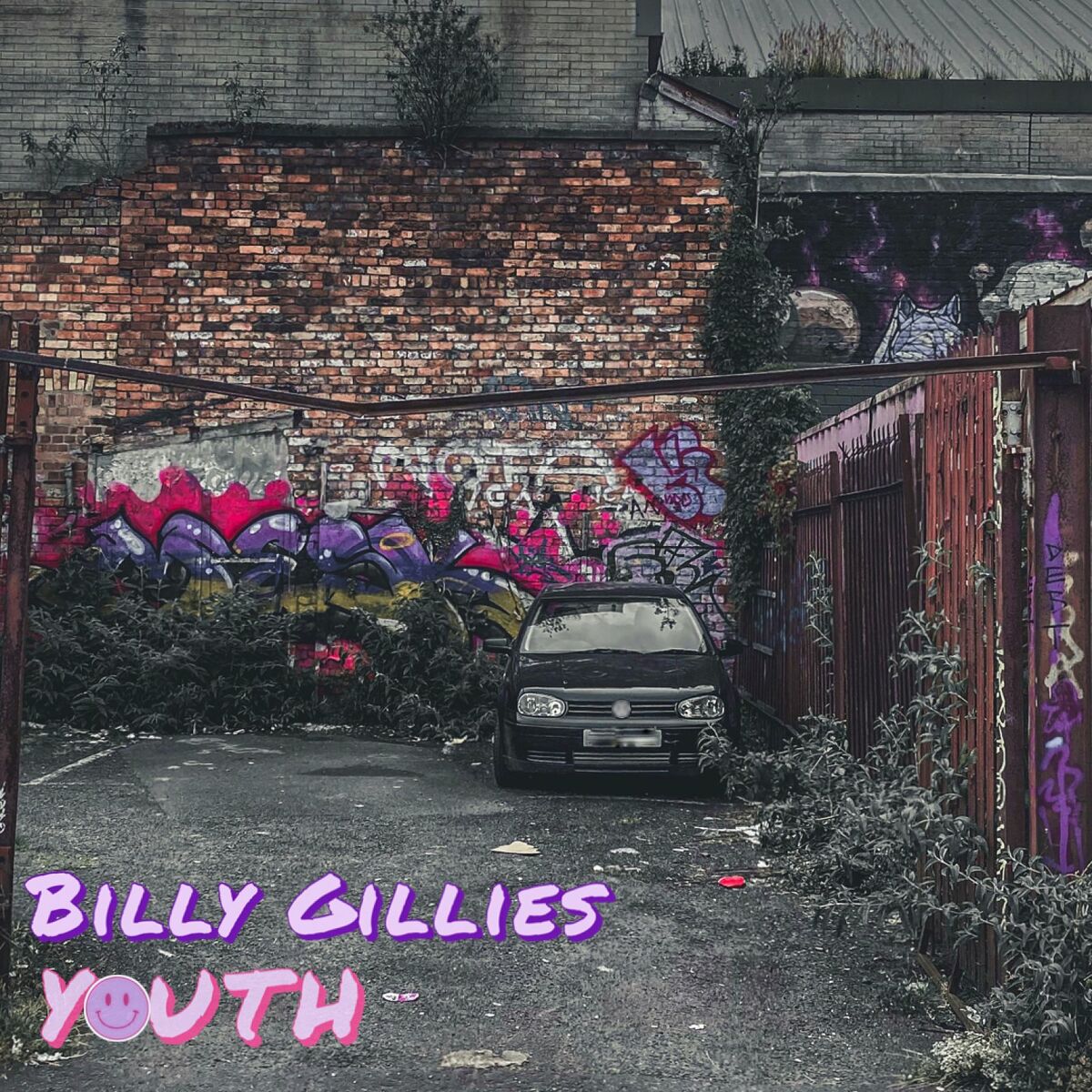 Album cover of Youth