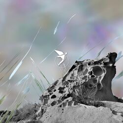 Cover of Higher Ground