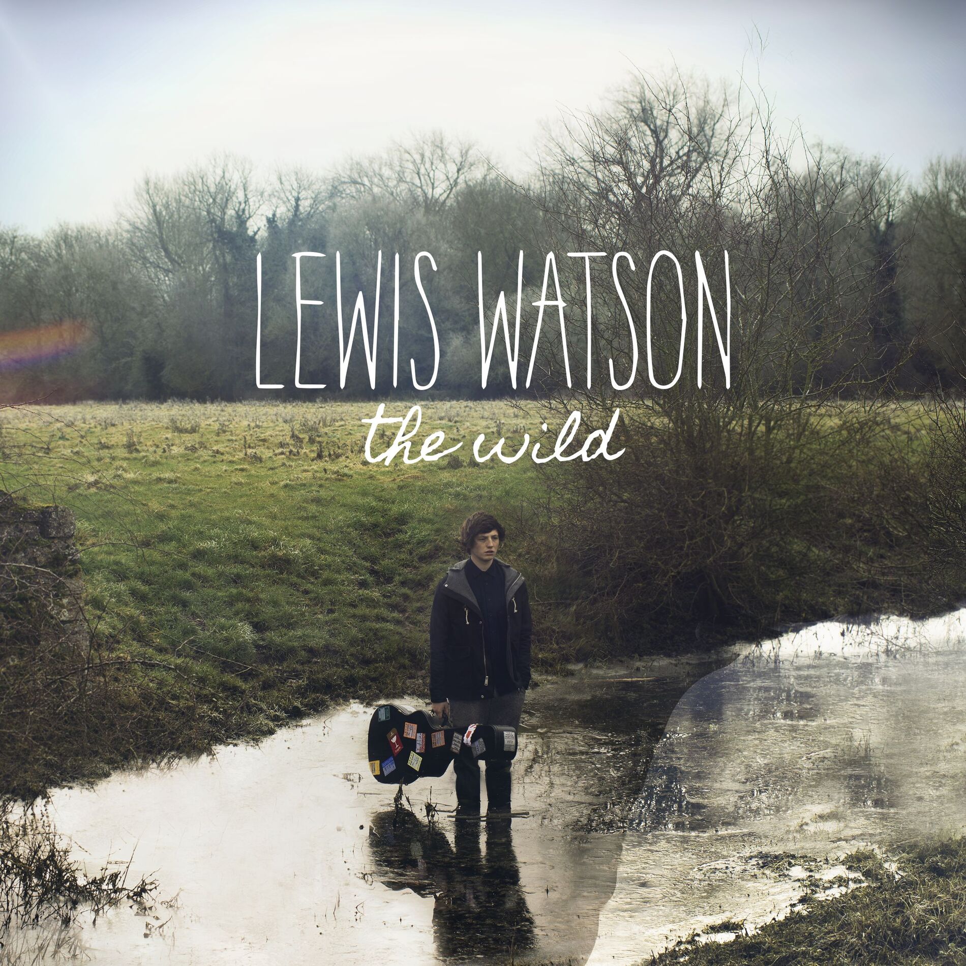 Album cover of into the wild