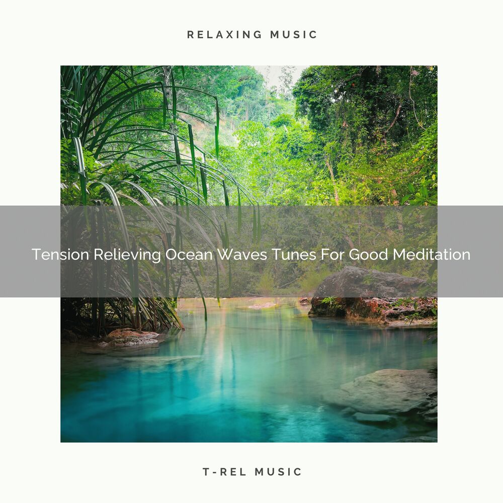 Picture of Tension Relieving Ocean Waves Tunes For Good Meditation