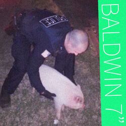 Cover of Baldwin 7"
